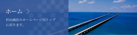 ホーム 杉山商店のホームページのトップに戻ります。